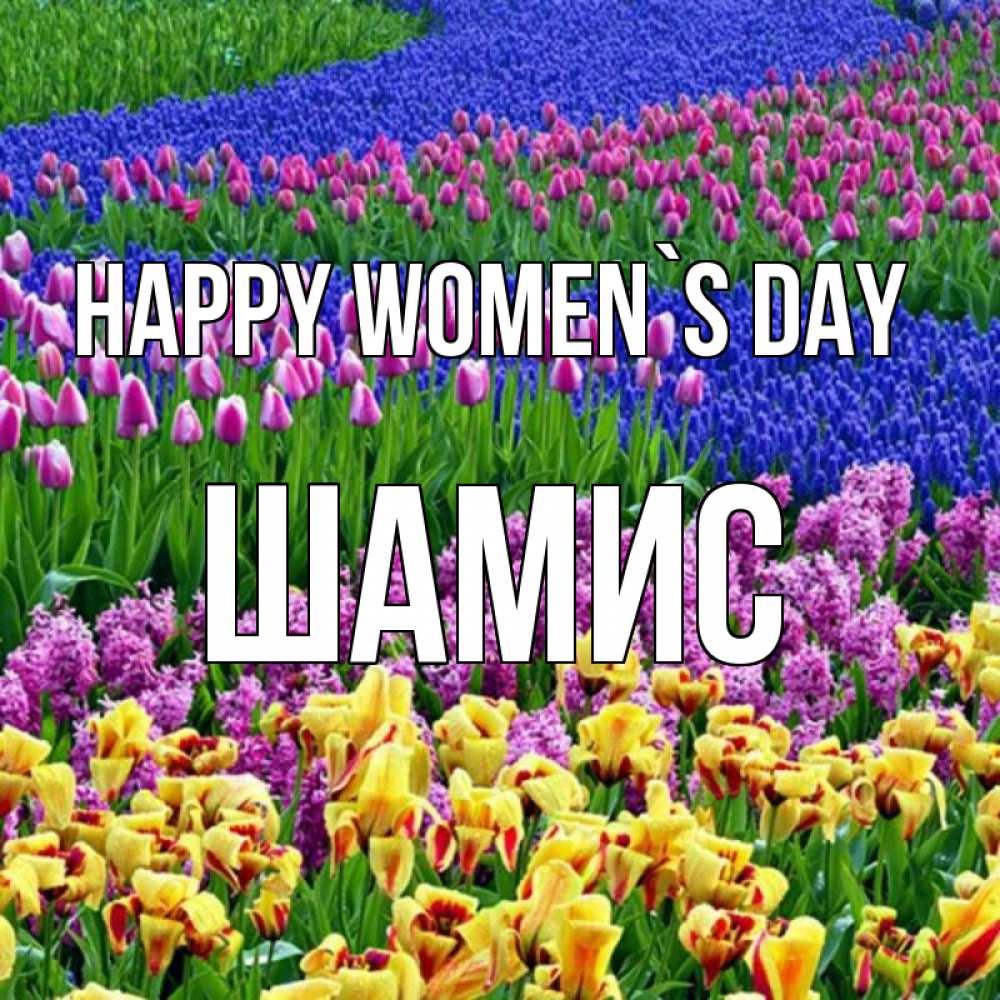 Greetings card с именем, ШАМИС happy women`s day цветы Greetings with text for free download 
